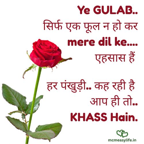 Rose day ki shayari