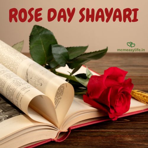 Rose Day Quotes