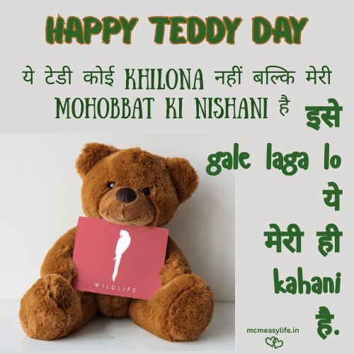 teddy quotes